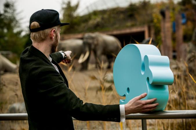 Walter and Martin Witt is looking at elephants in the zoo.