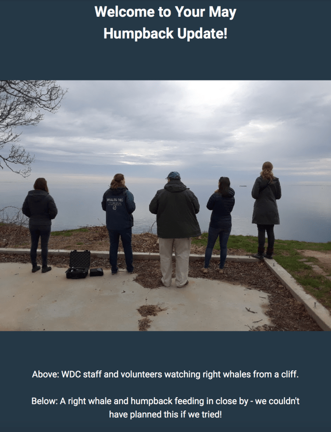 Skærmbillede 2019-05-23 23.42.56