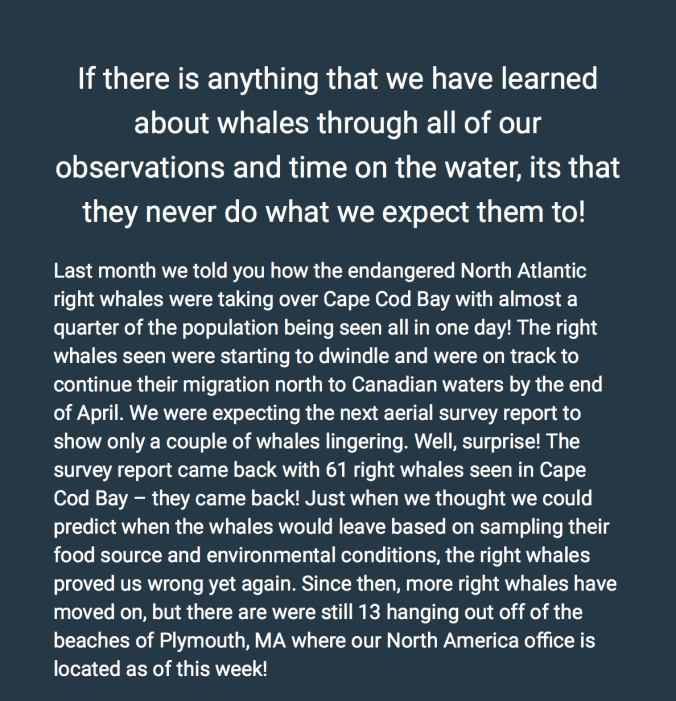 Skærmbillede 2019-05-23 23.43.20