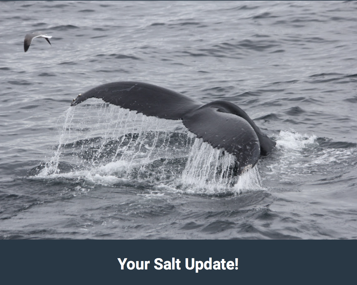 Skærmbillede 2019-05-23 23.43.37