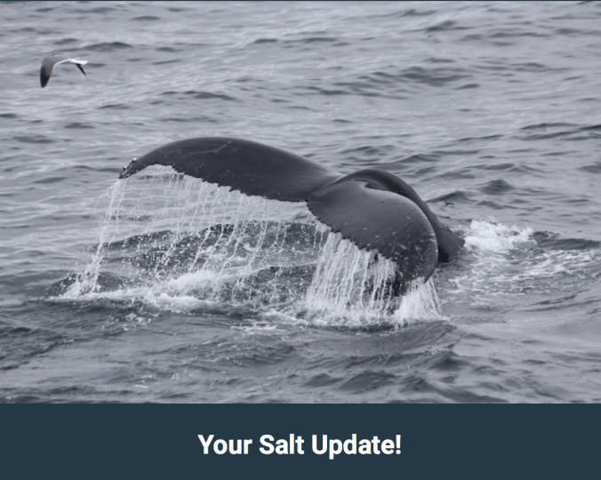 Skærmbillede 2019-05-23 23.43.37