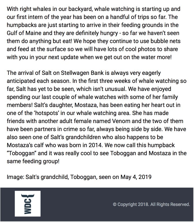 Skærmbillede 2019-05-23 23.43.51