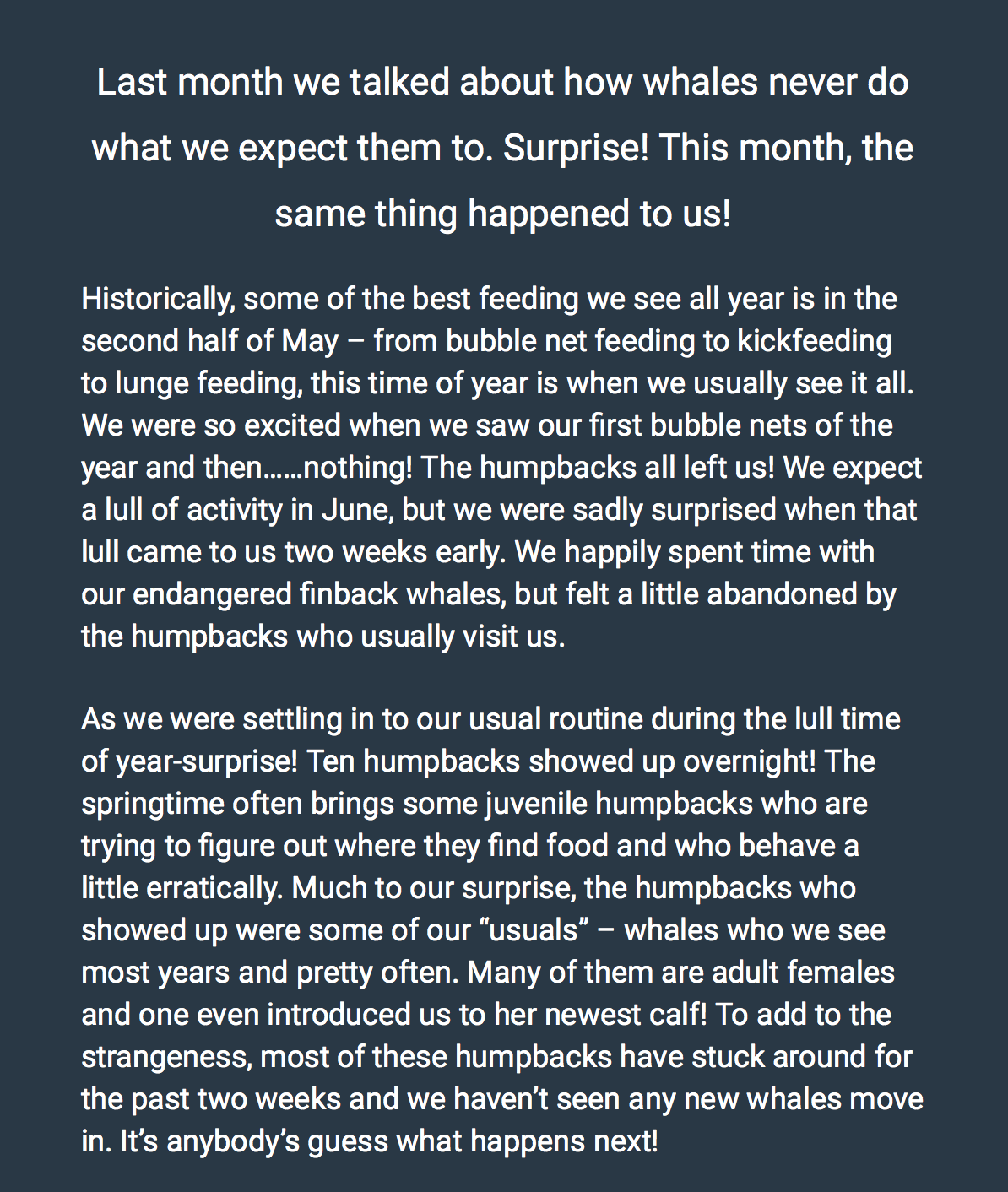 Skærmbillede 2019-06-28 kl. 02.15.34