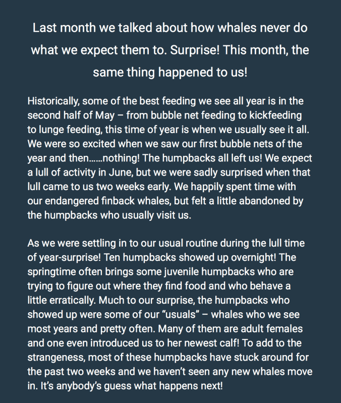 Skærmbillede 2019-06-28 kl. 02.15.34