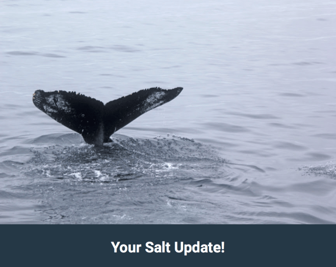 Skærmbillede 2019-06-28 kl. 02.16.06