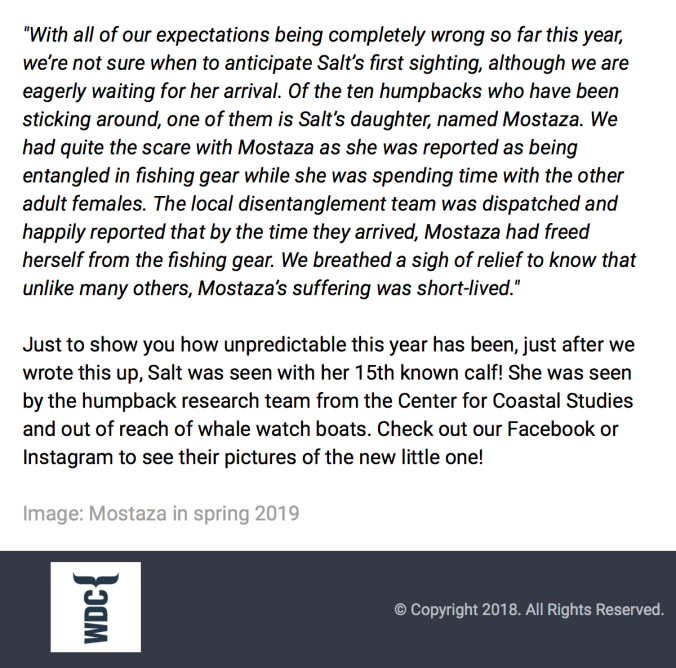 Skærmbillede 2019-06-28 kl. 02.17.24