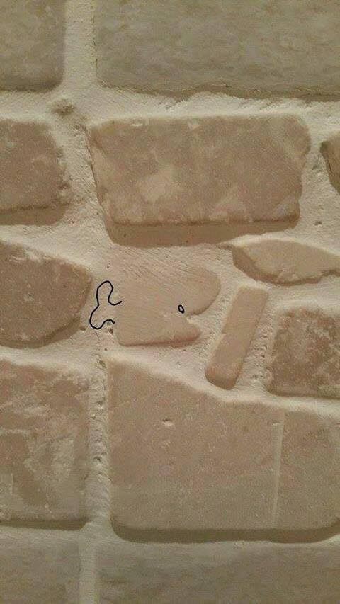 23515599_10154791114986401_147582210_n