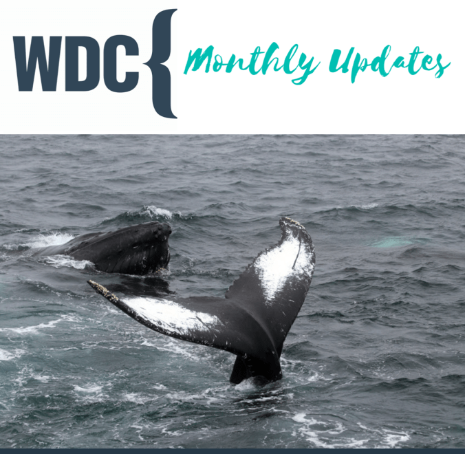 Skærmbillede 2020-02-16 kl. 13.28.15